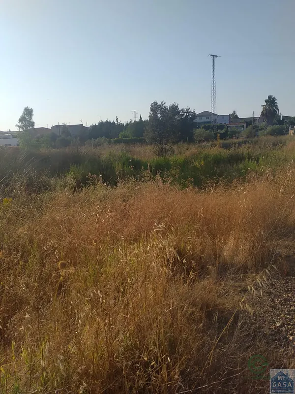 Spot image