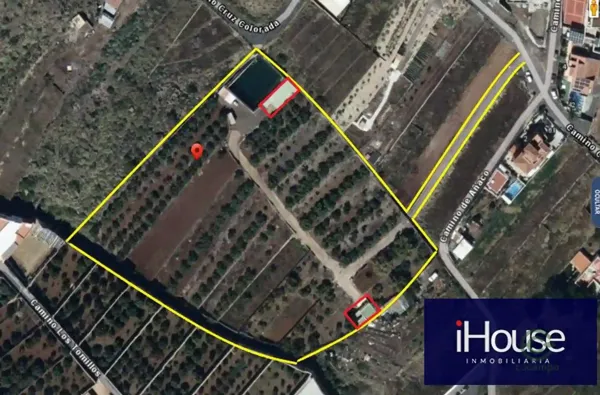Spot image