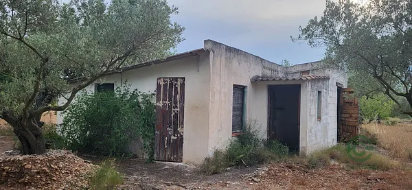 Spot image