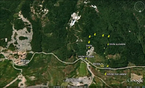 Spot image