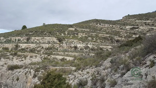 Spot image