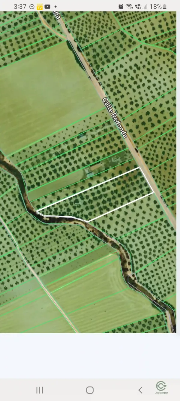 Spot image