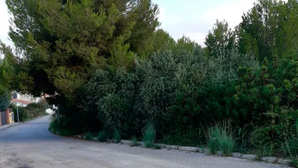Spot image