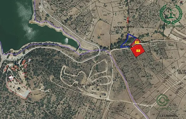 Spot image