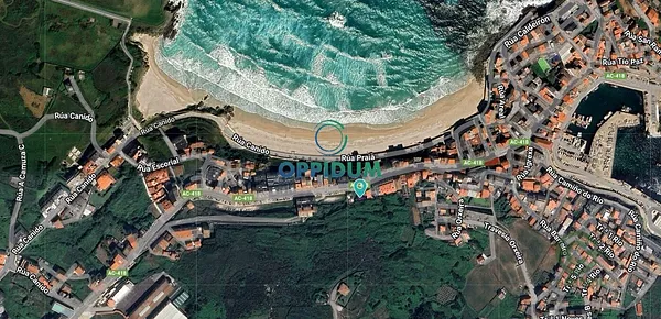 Spot image