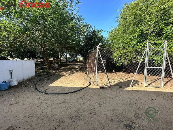 Spot image