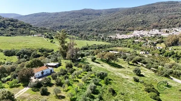 Spot image