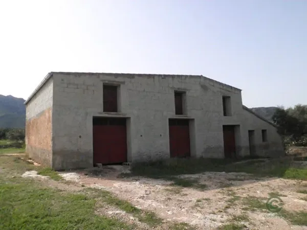 Spot image