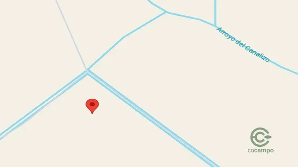 Spot image