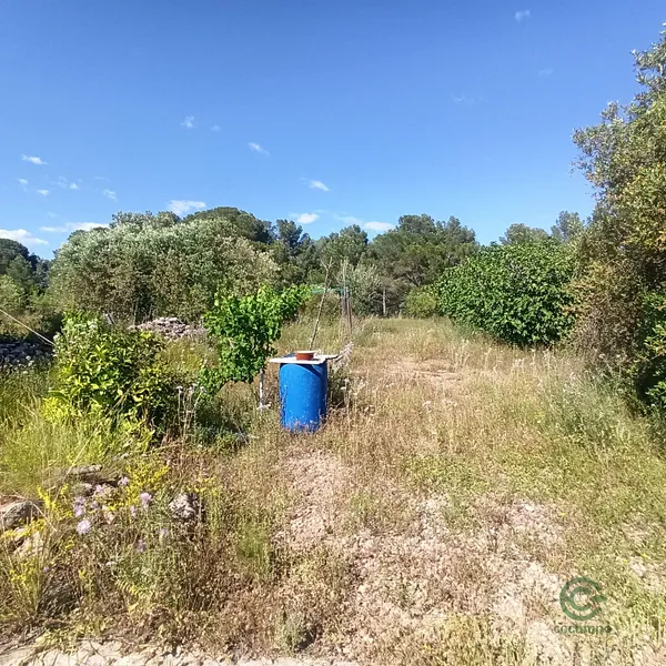 Spot image