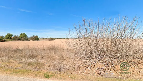 Spot image
