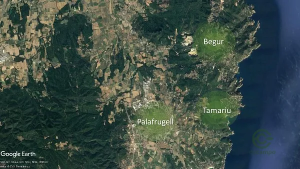 Spot image