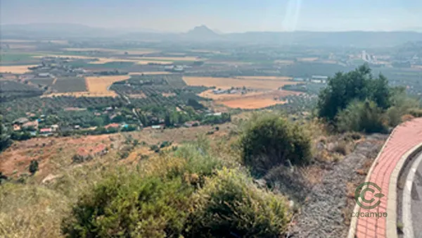 Spot image