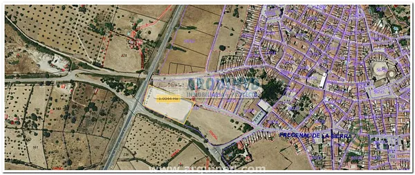 Spot image