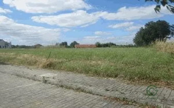 Spot image