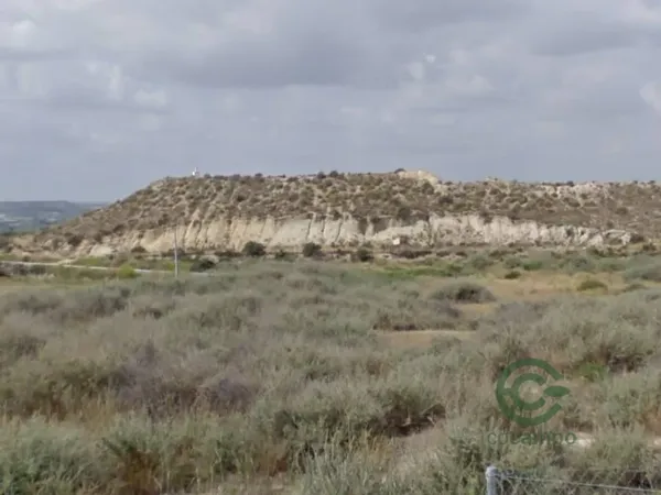 Spot image