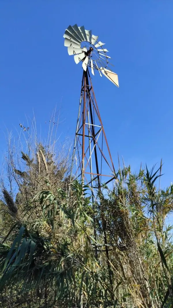 Spot image
