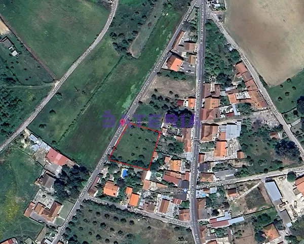 Spot image