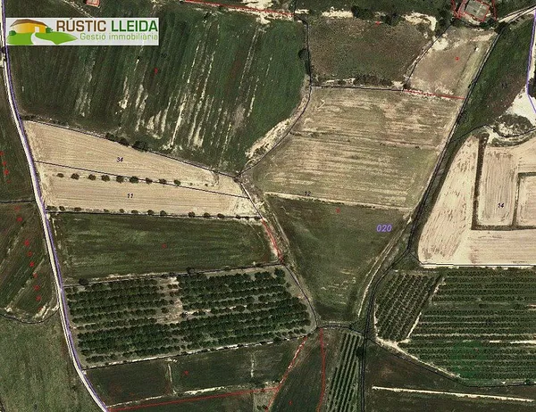 Spot image
