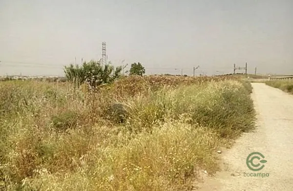 Spot image