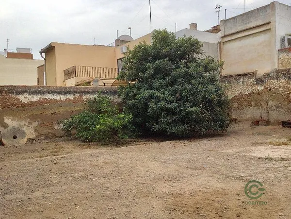Spot image