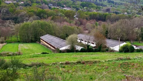 Spot image
