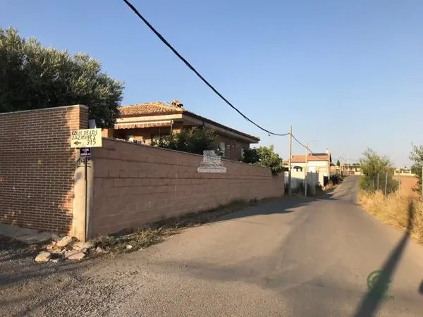Spot image
