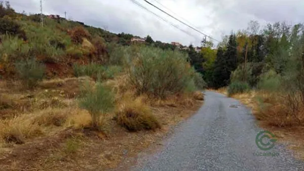 Spot image