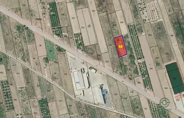 Spot image