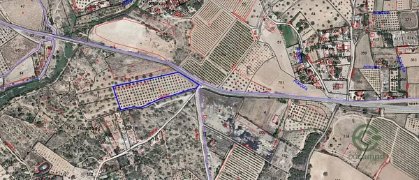 Spot image