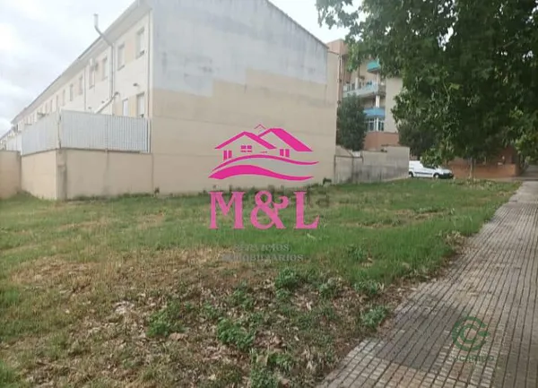 Spot image