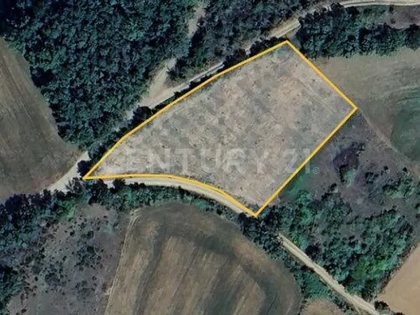 Spot image