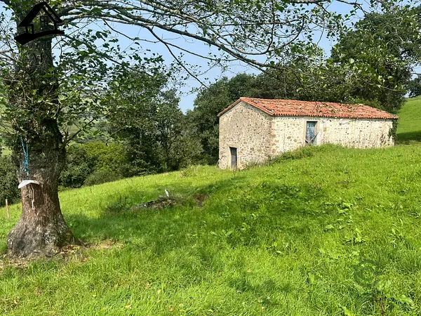 Spot image