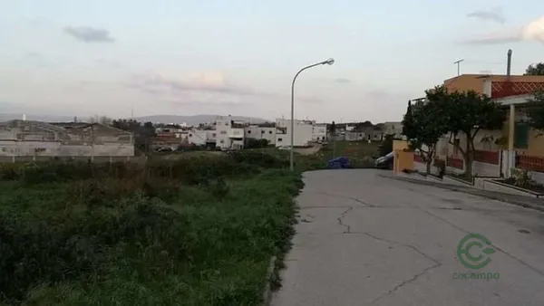 Spot image