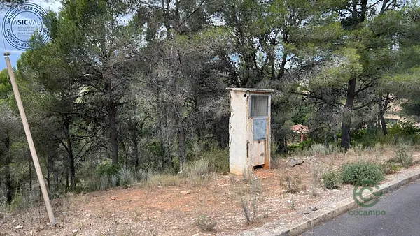 Spot image