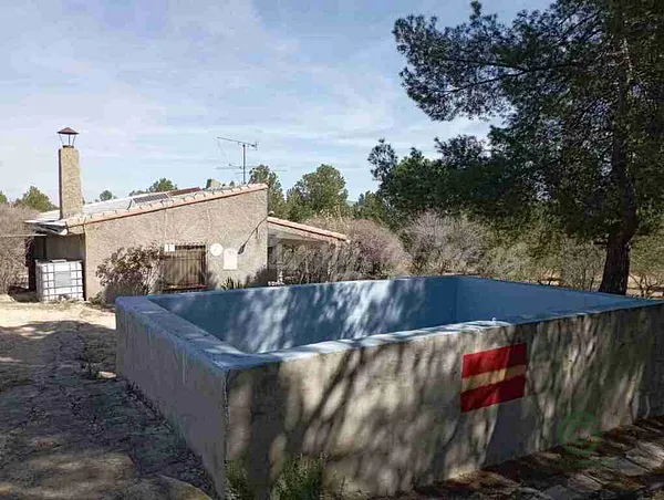 Spot image
