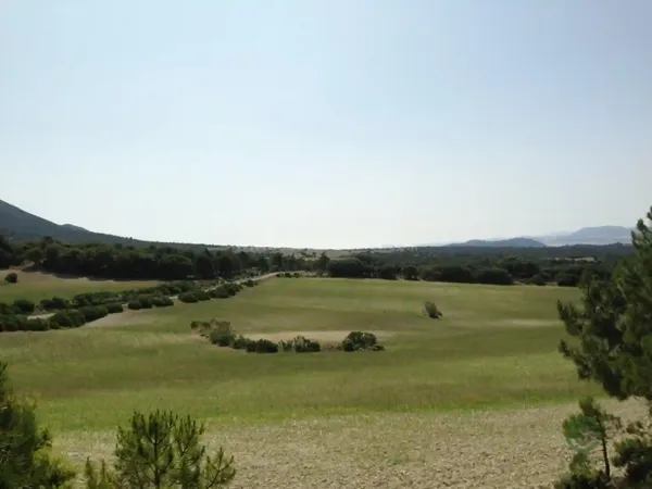 Spot image