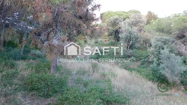 Spot image