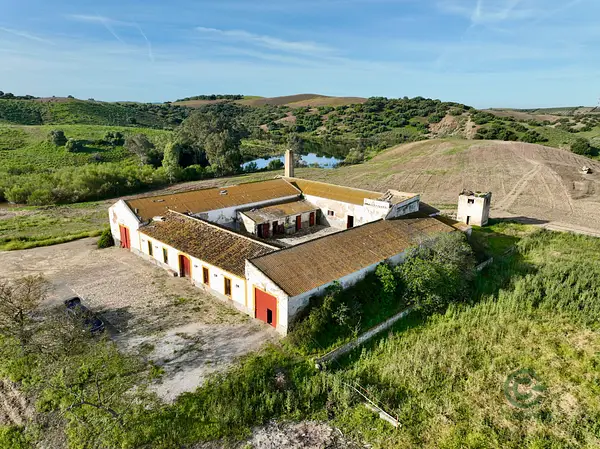 Spot image