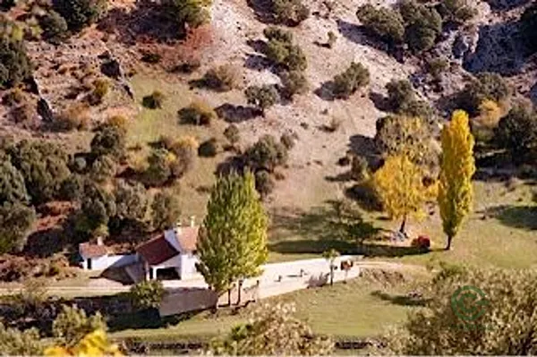 Spot image