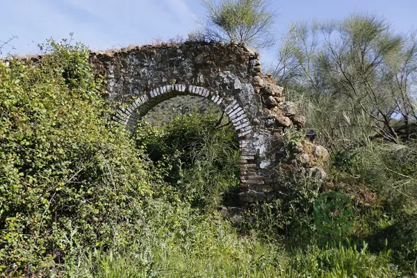 Spot image