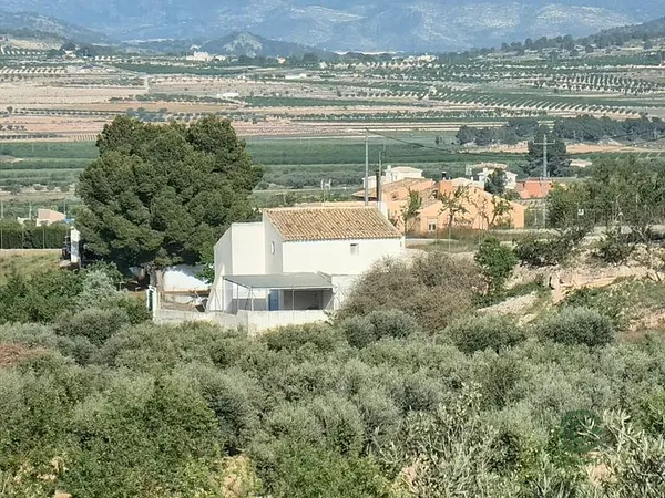 Spot image