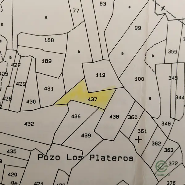 Spot image