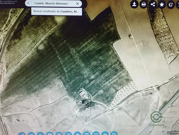 Spot image