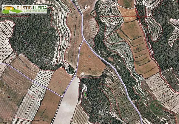 Spot image