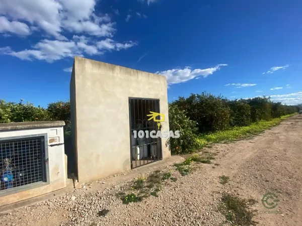 Spot image