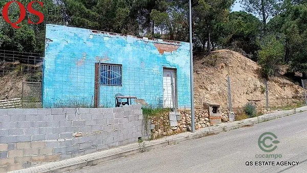 Spot image