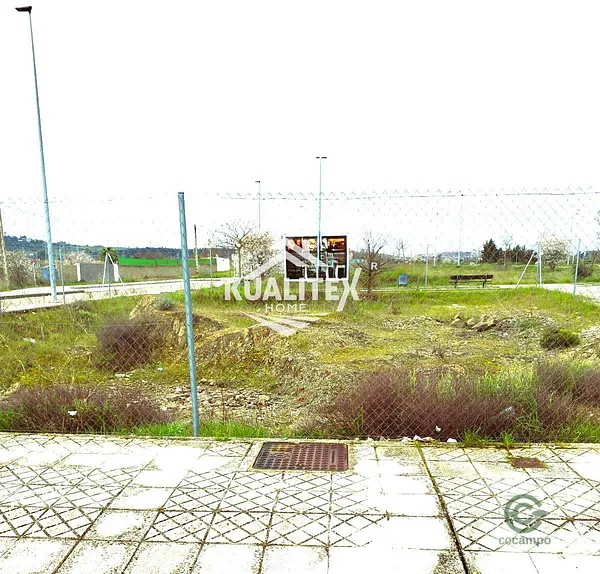 Spot image
