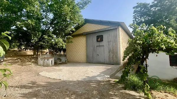 Spot image