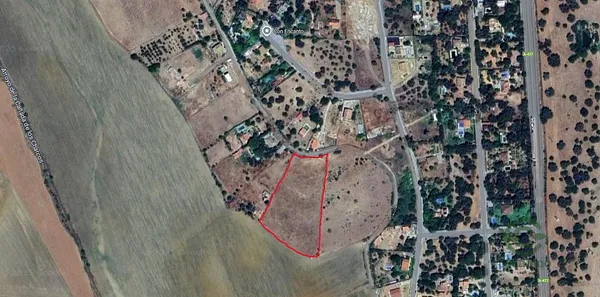 Spot image